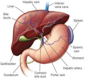 Liver-disease-and-Astrology