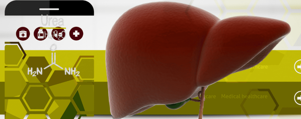 Beyond-Metabolism-The-Critical-Impact-of-Urea-Cycle-Defects-on-Fatty-Liver-Disease.