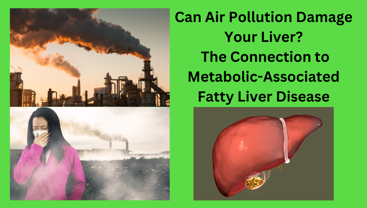 Can-Air-Pollution-Damage-Your-Liver-The-Connection-to-Metabolic-Associated-Fatty-Liver-Disease