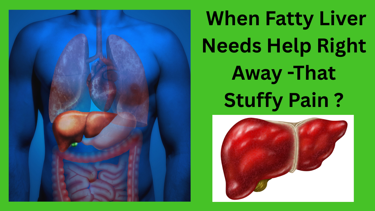 When-Fatty-Liver-Needs-Help-Right-Away-That-Stuffy-Pain