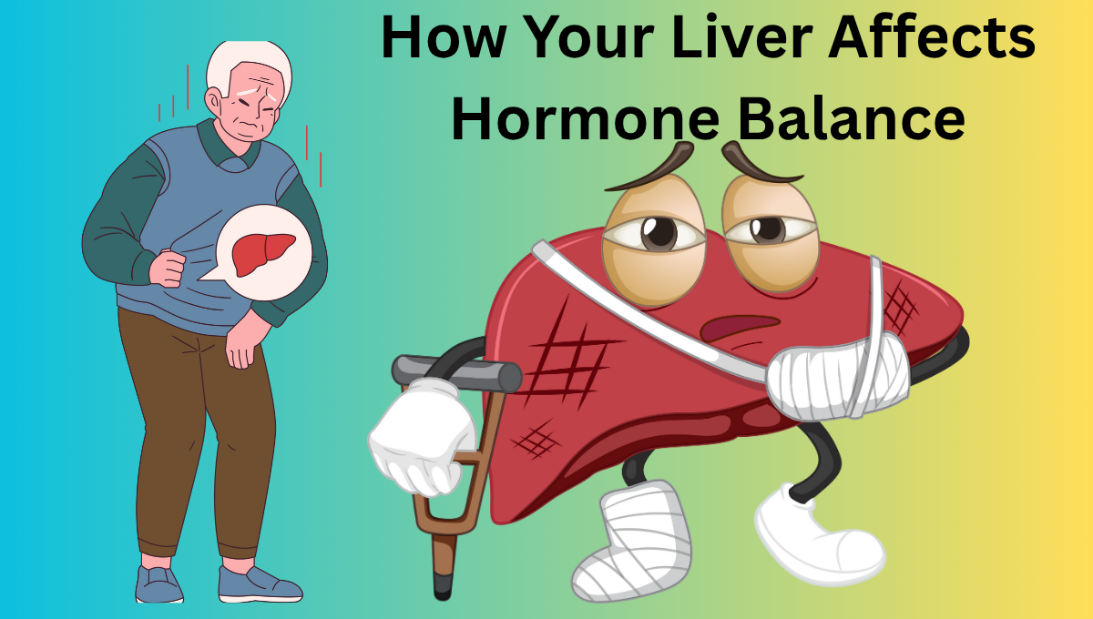 How-Your-Liver-Affects-Hormone-Balance